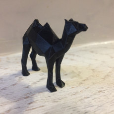 Picture of print of Low Poly Camel