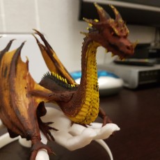 Picture of print of Dragonology