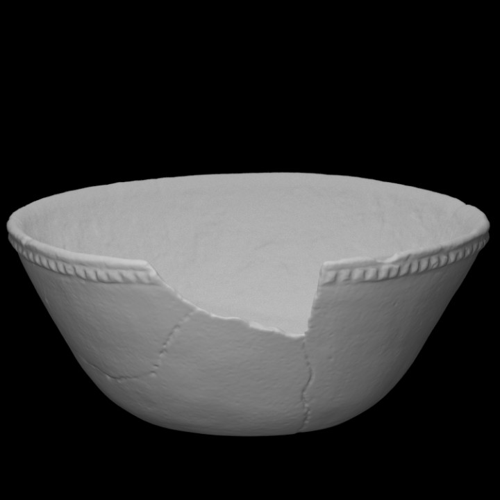 Bowl image
