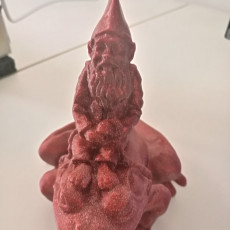 Picture of print of Gnome on frog (scan remix)