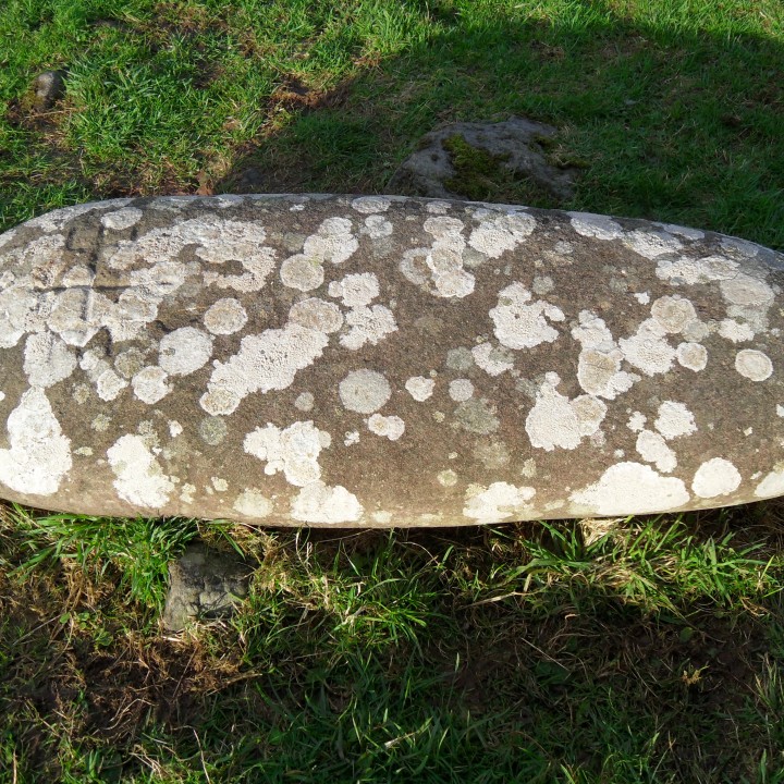 Ogham Stone - Ballintaggart VI (Baile ant Sagairt), Co. Kerry image