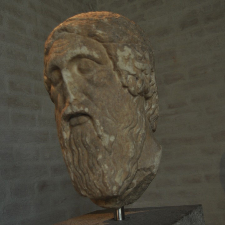 Head of Homer image