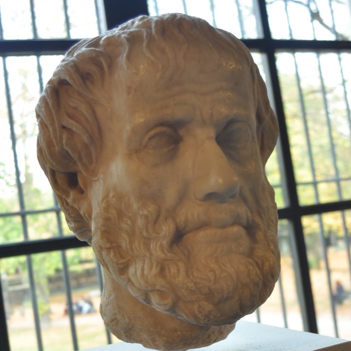 Head of Aristotle image