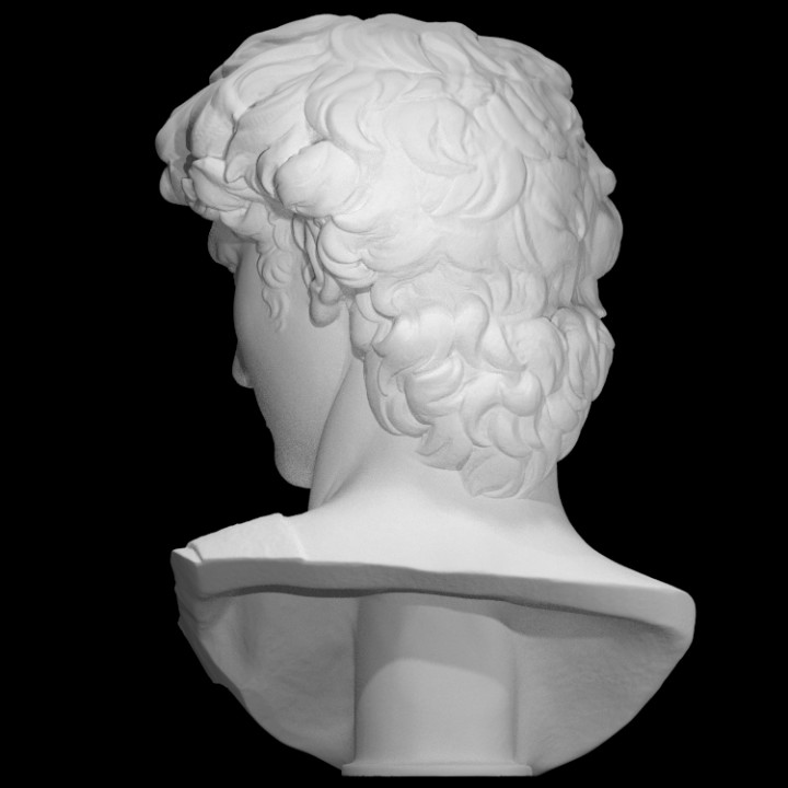 洋書 SCULPTURE 3D Printable Head of Michelangelo's David by SMK - Statens