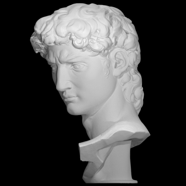 Head of Michelangelo's David image