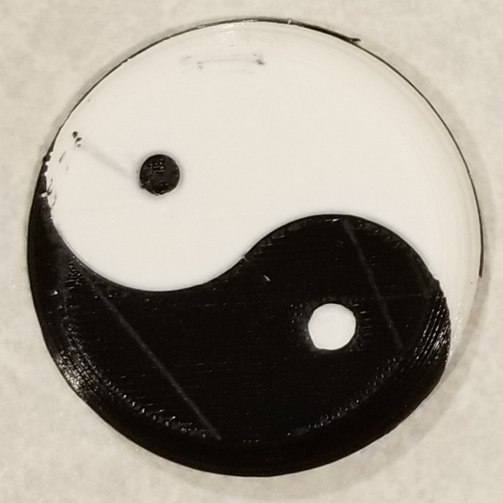Taijitu (Yin-Yang Symbol) dual extrusion test image