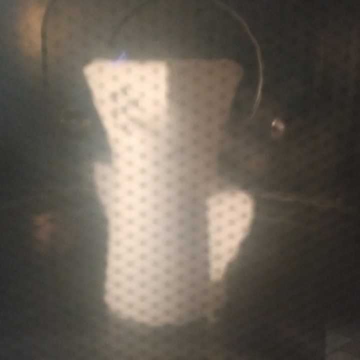 Microwave Cleaner image