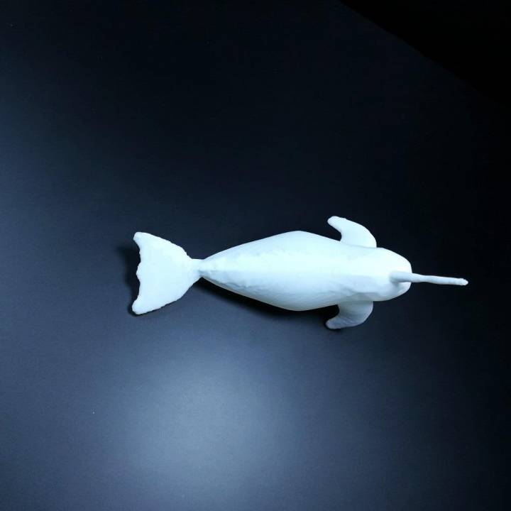 NARWHALE (they are real) image