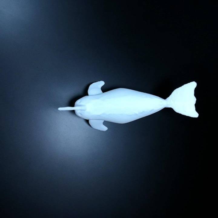NARWHALE (they are real) image