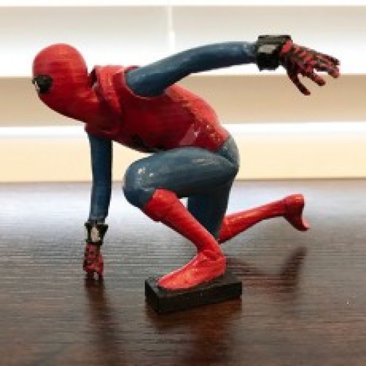 Spider-man Homemade Suit image