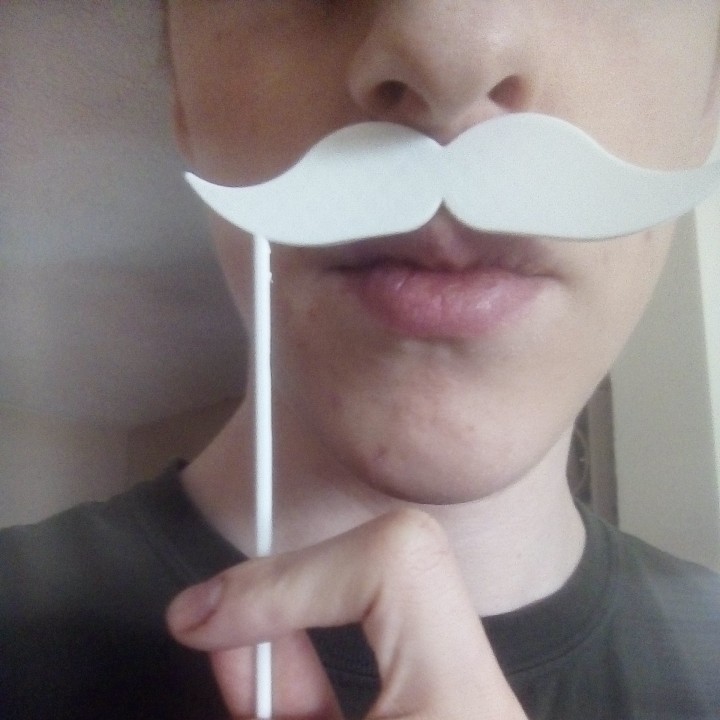 Mustache Face Prop image