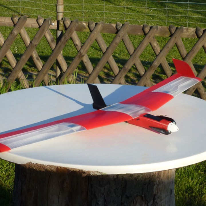 Speedy "Red Swept Wing" RC image