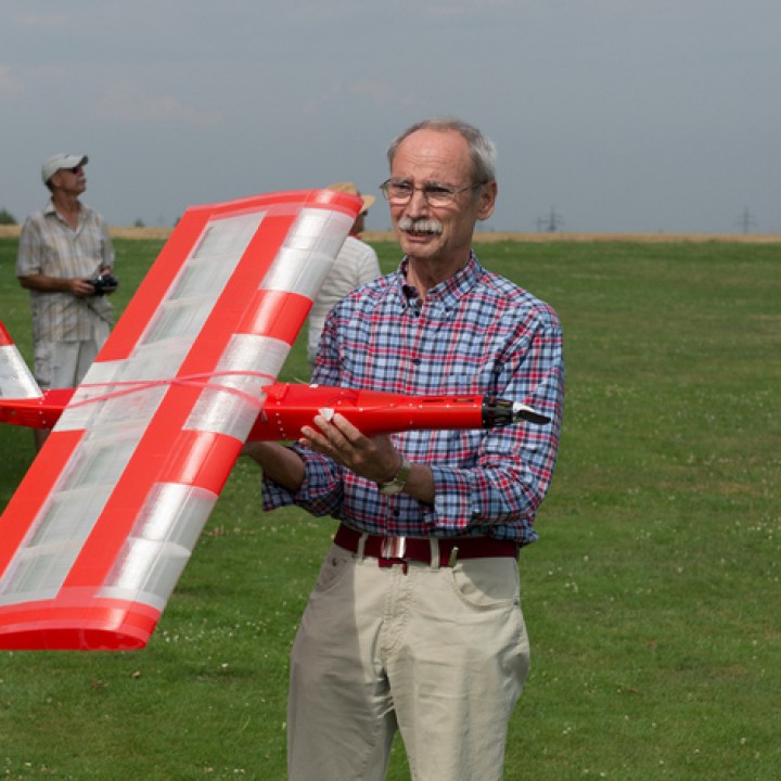 "Red Duck" RC flying wing image