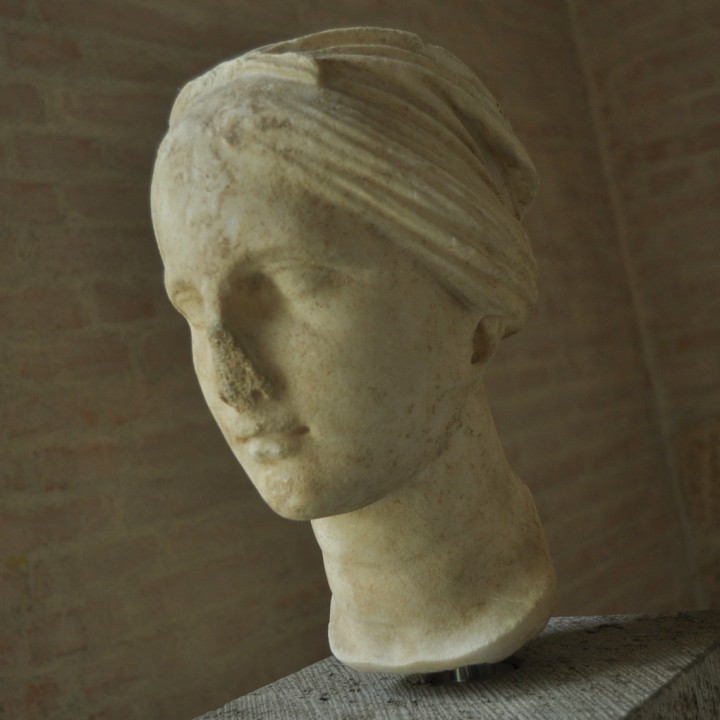 Female head image