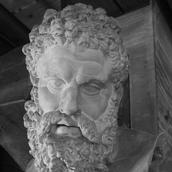 Bust of the Farnese Hercules image