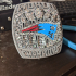 Patriots Fan Ring print image