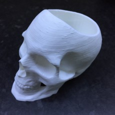 Picture of print of Skull Pot