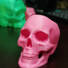 Picture of print of Skull Pot