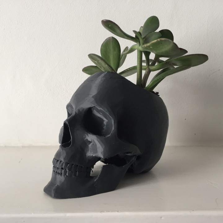 Skull Pot image