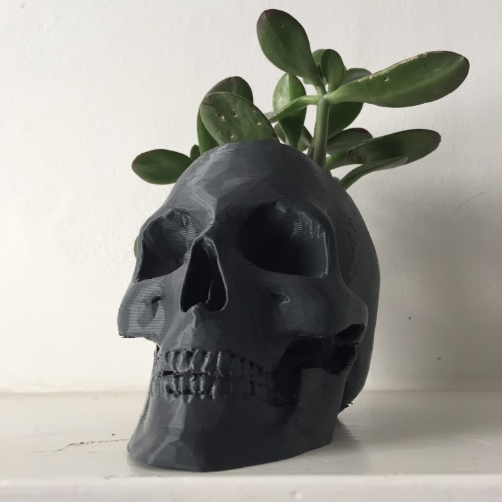 Skull Pot image