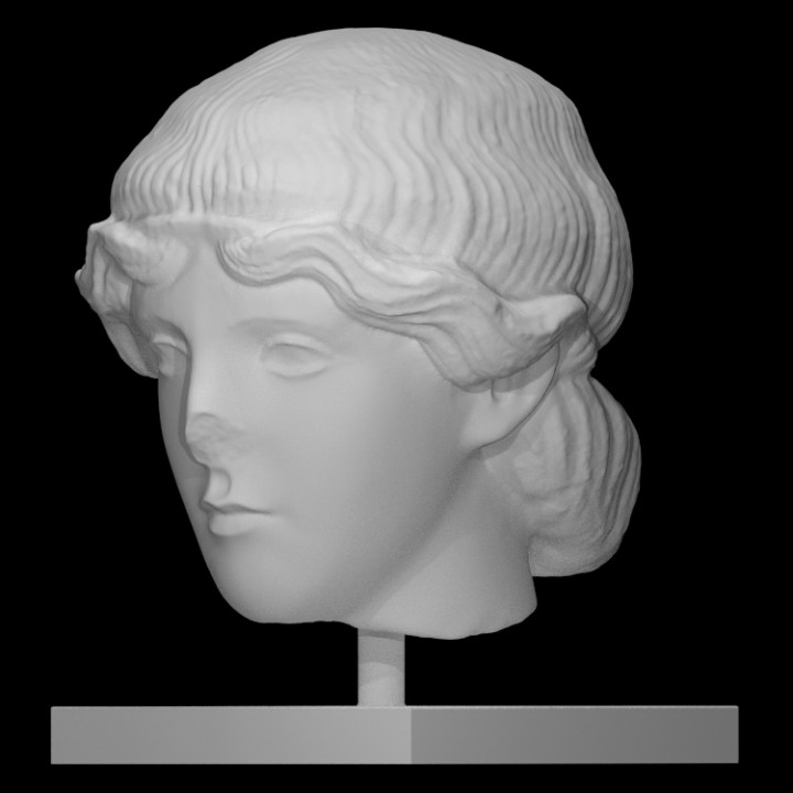 Head of a Youth image
