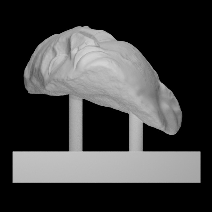 Head of an Athlete image