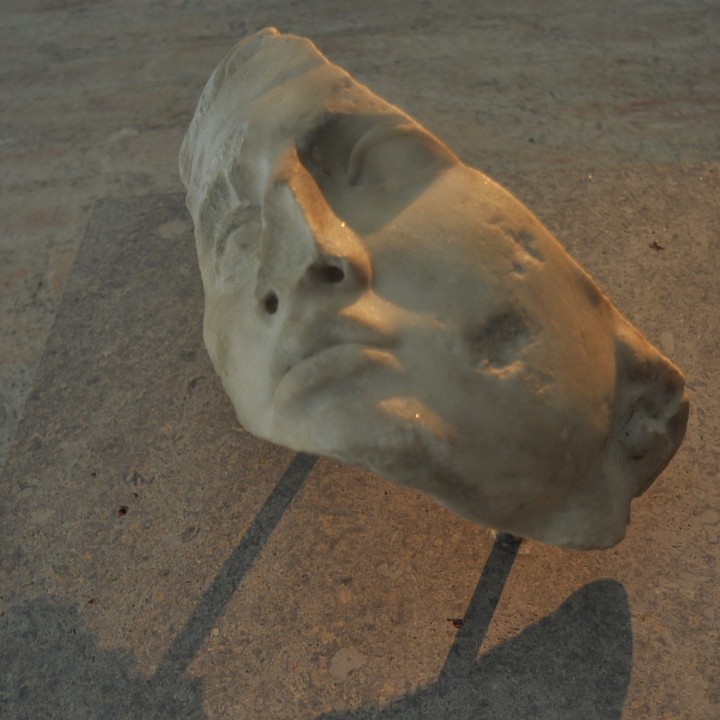Head of an Athlete image