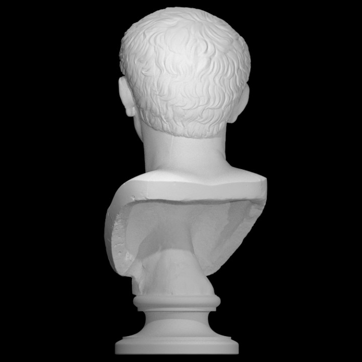Farnese Caesar image