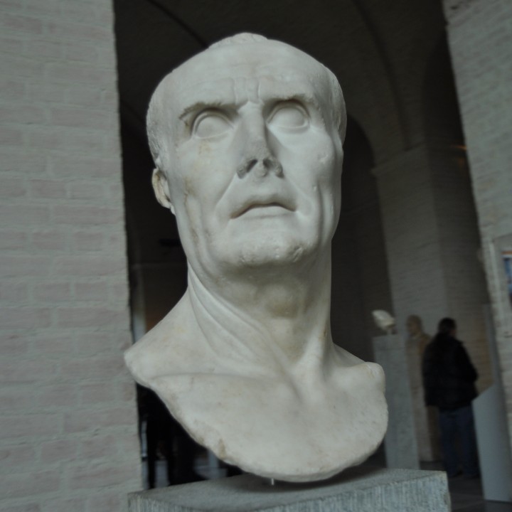 Bust of Marius image