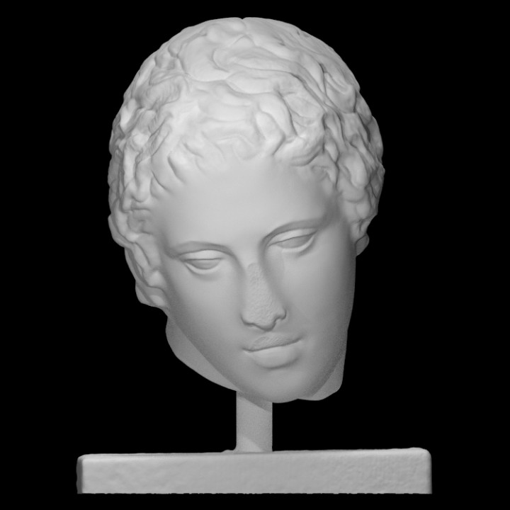 Head of a young man image