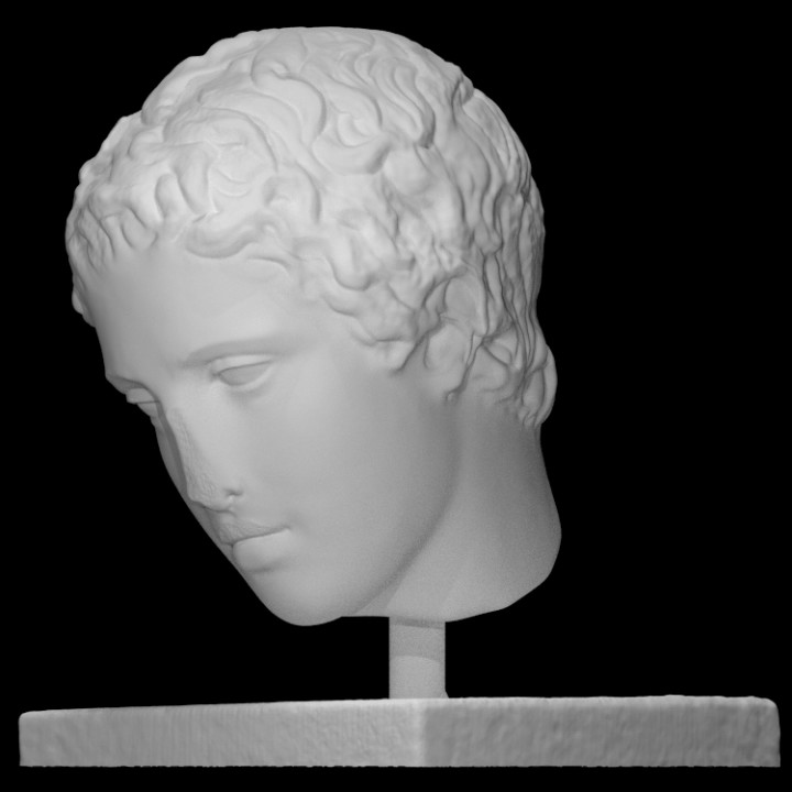 Head of a young man image