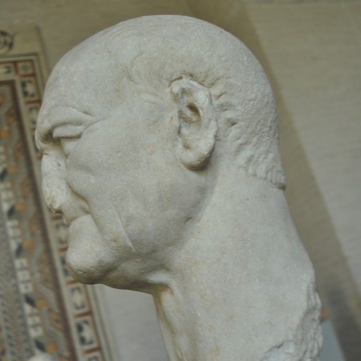 Vespasian image