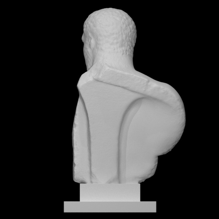 Bust of a Roman image