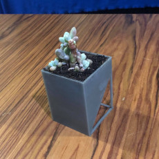 Picture of print of Square Pot - Flower Pot