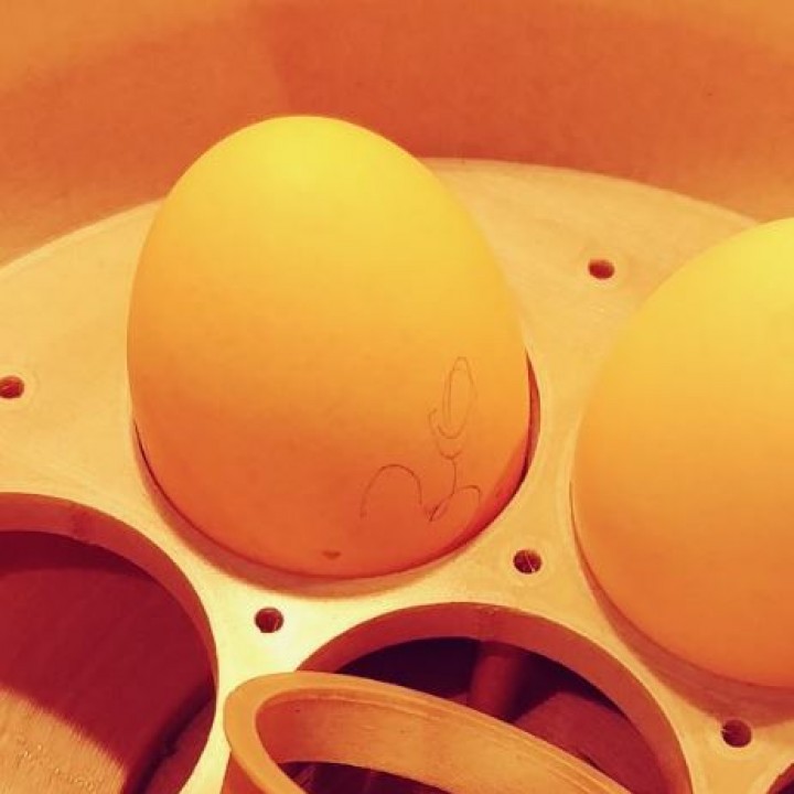 Eggsbox image