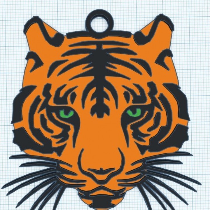 tigre multi-couleur image