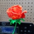 Rose Blossom Tops print image