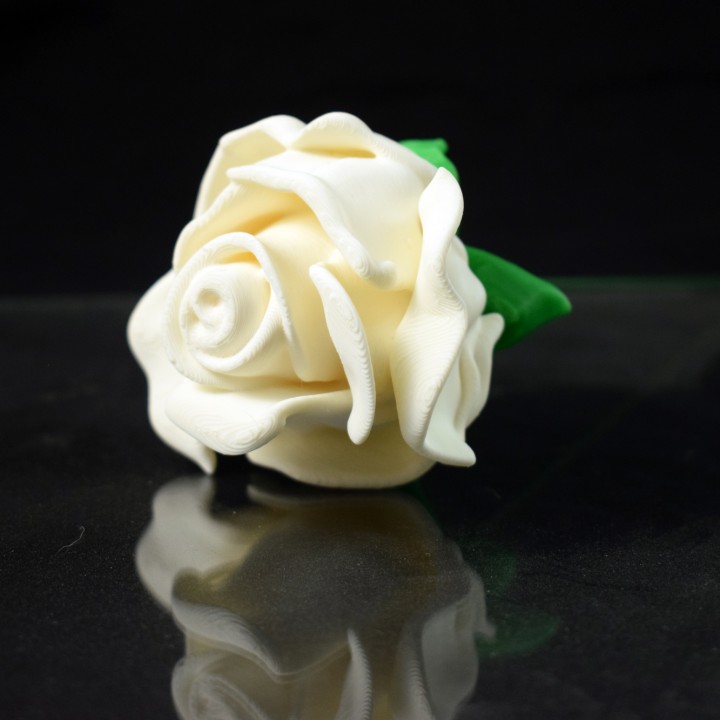 Rose Blossom Tops image