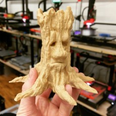 Picture of print of Old Tree Spirit