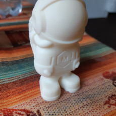 Picture of print of 3D Phil