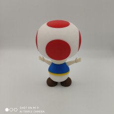 Picture of print of Toad from Mario games - Multi-color