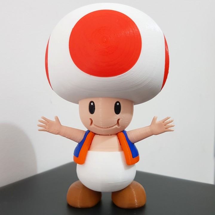 Toad from Mario games - Multi-color image