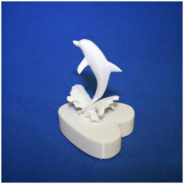 Valentine's Dolphin image