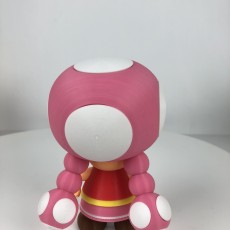 Picture of print of Toadette from Mario games - Multi-color