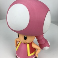 Picture of print of Toadette from Mario games - Multi-color