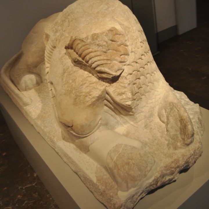 Lion of Miletus image