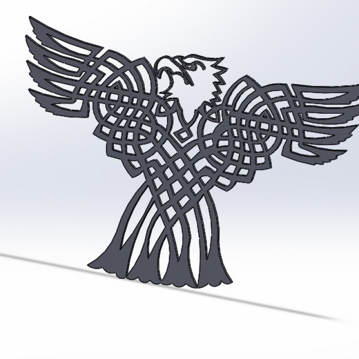 Celtic Bald eagle image