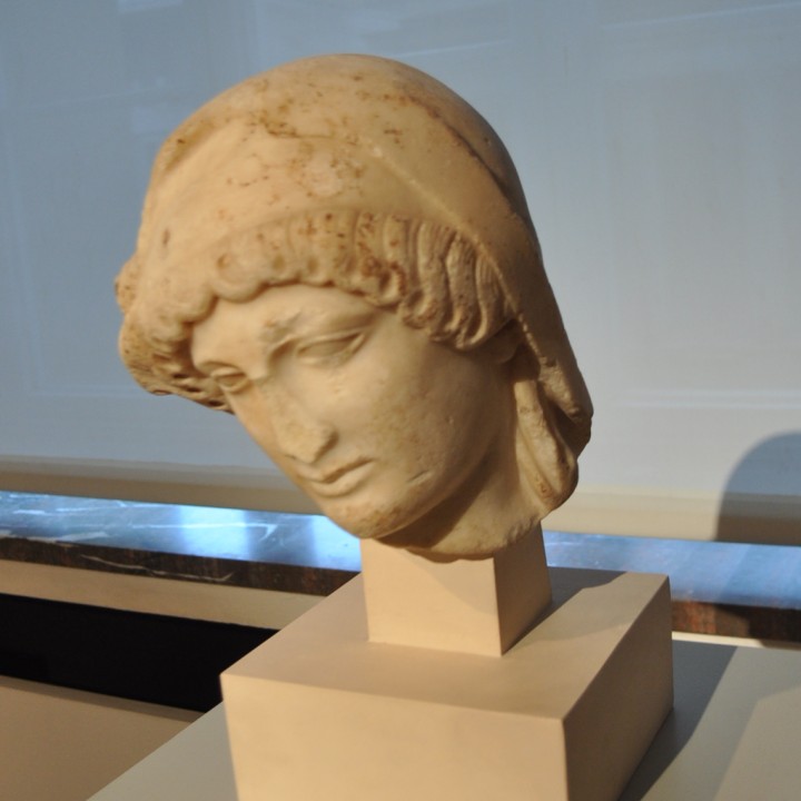 Head of Mourning Penelope image