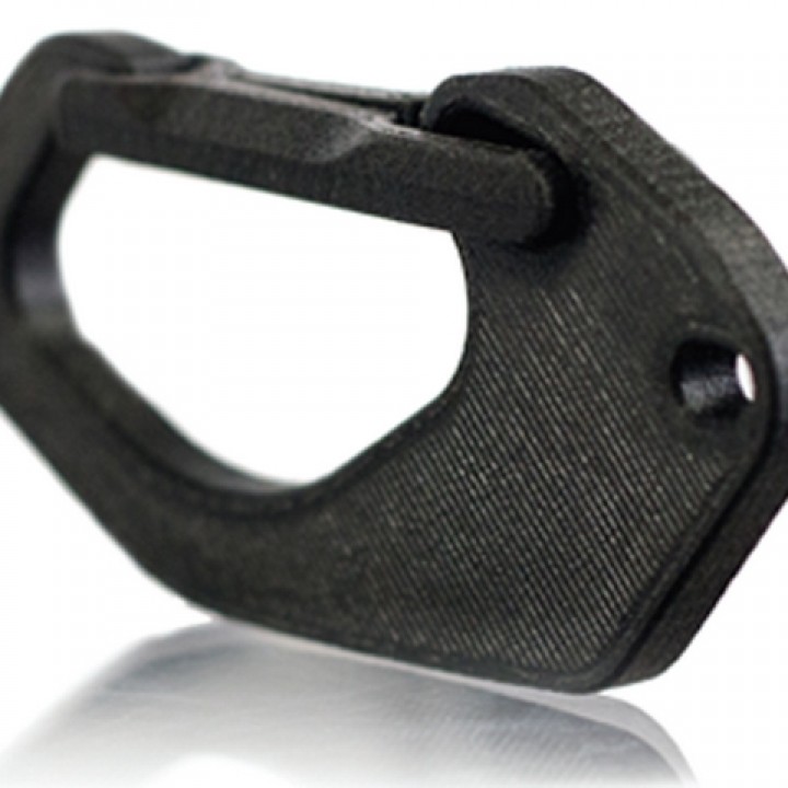 Photo of Carabiner 3D Model
