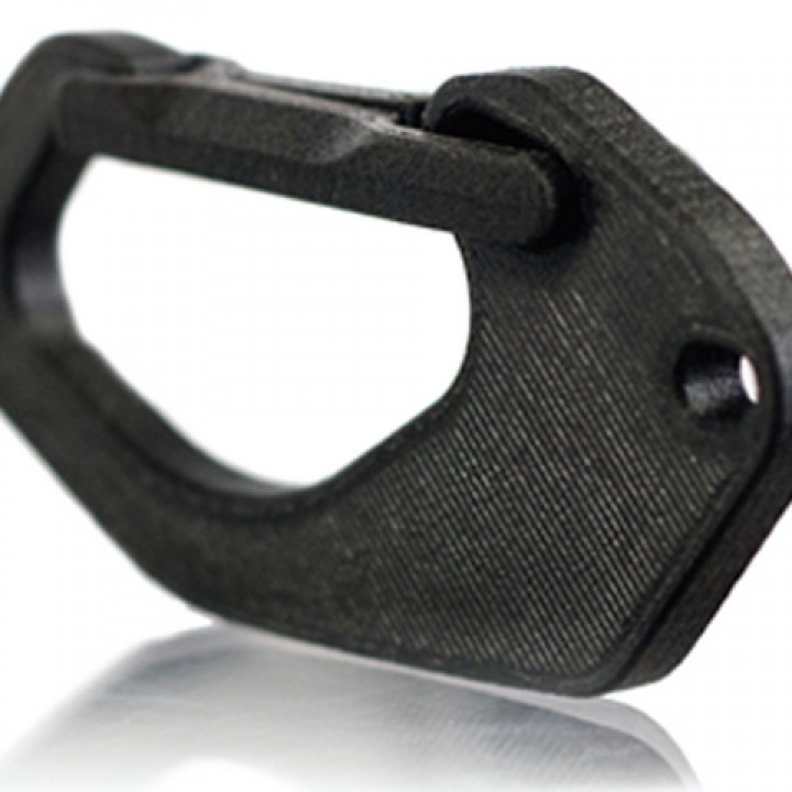 Carabiner image